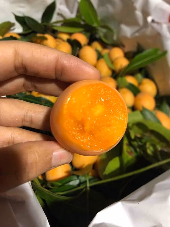 Van chua het hot, loai qua nho ma co vo khien nhieu nguoi me dam-Hinh-2