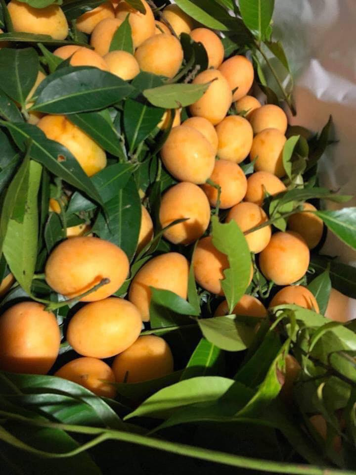 Van chua het hot, loai qua nho ma co vo khien nhieu nguoi me dam