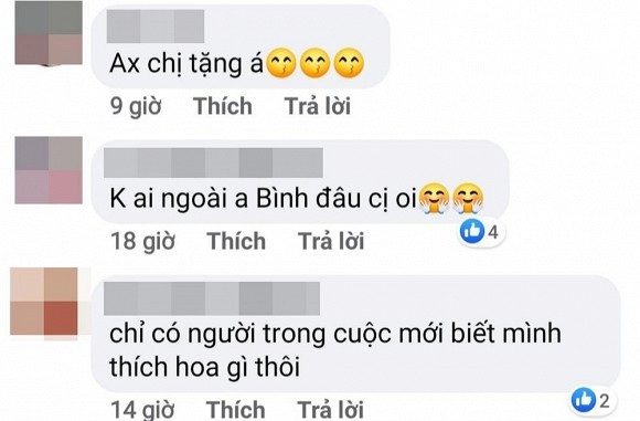 Ngoc Lan khoe hoa nguoi la tang, dan mang lai nghi la Thanh Binh-Hinh-3