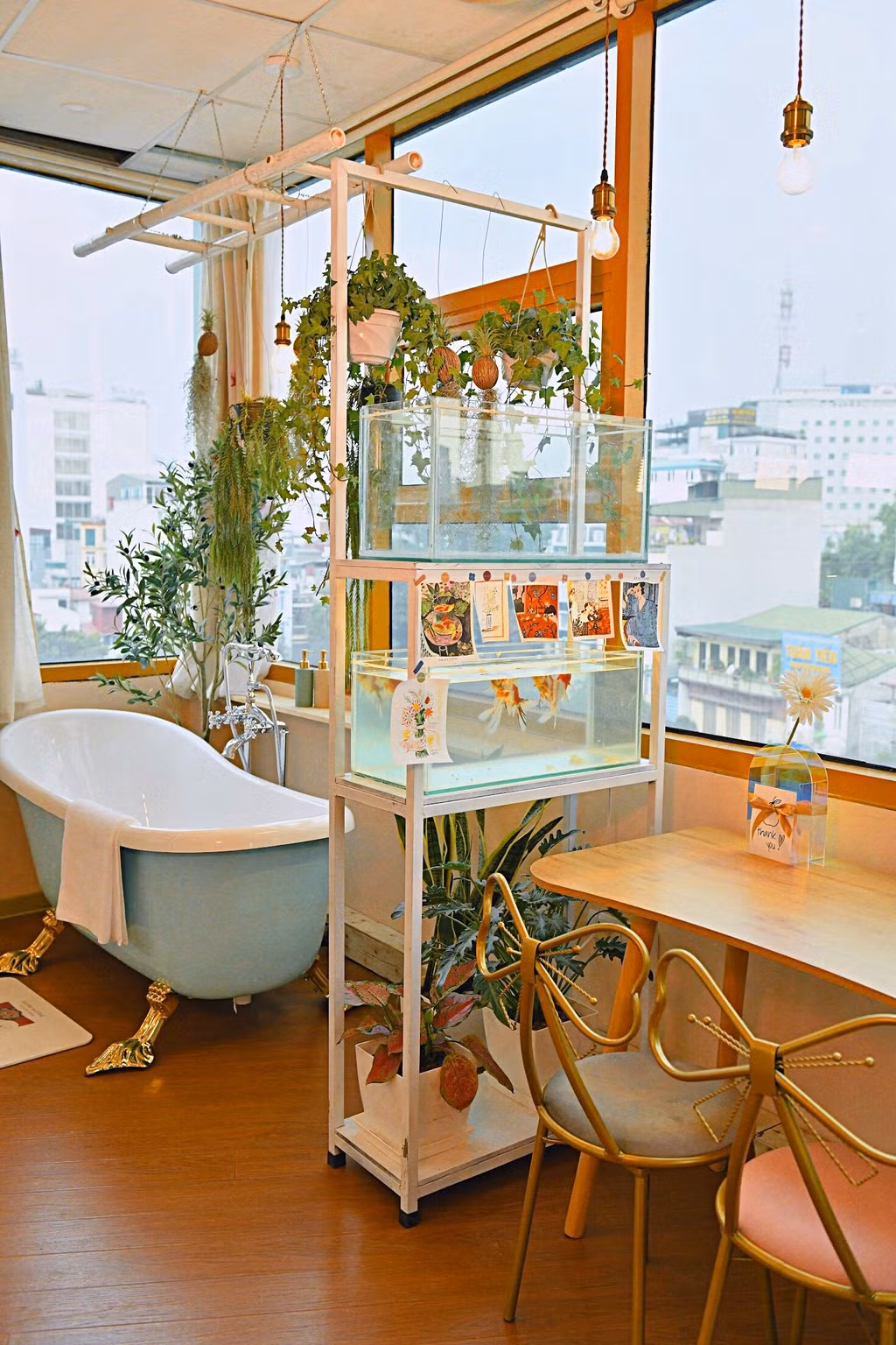 Bien nha kho cu thanh 'goc chill' ruc ro giua long pho co-Hinh-2