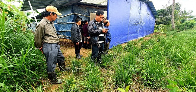 9X Gia Lai ve que khoi nghiep thu tien ty moi nam-Hinh-2