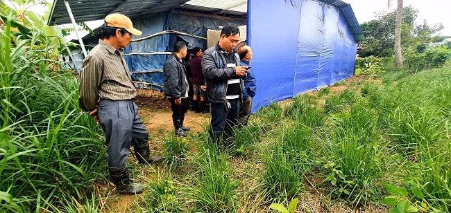 9X Gia Lai ve que khoi nghiep thu tien ty moi nam-Hinh-2