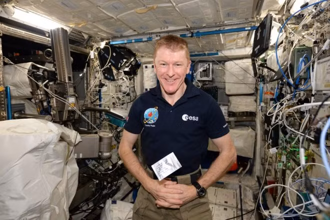 Cay tao cua Newton gan 400 tuoi van ra qua-Hinh-10