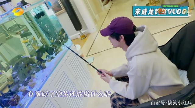 Hoạt động của sao Hoa ngữ khi phải ở nhà vì dịch Covid-19 - Hình 5 Hoat dong cua sao Hoa ngu khi phai o nha vi dich Covid-19-Hinh-5