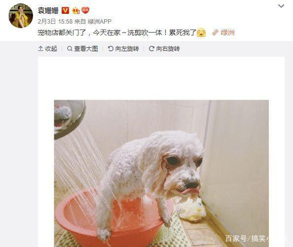 Hoạt động của sao Hoa ngữ khi phải ở nhà vì dịch Covid-19 - Hình 15 Hoat dong cua sao Hoa ngu khi phai o nha vi dich Covid-19-Hinh-15