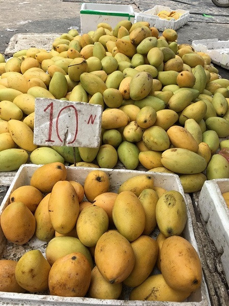 Xoai rot gia, chi con 10.000 dong 3kg cung khong ai mua-Hinh-4