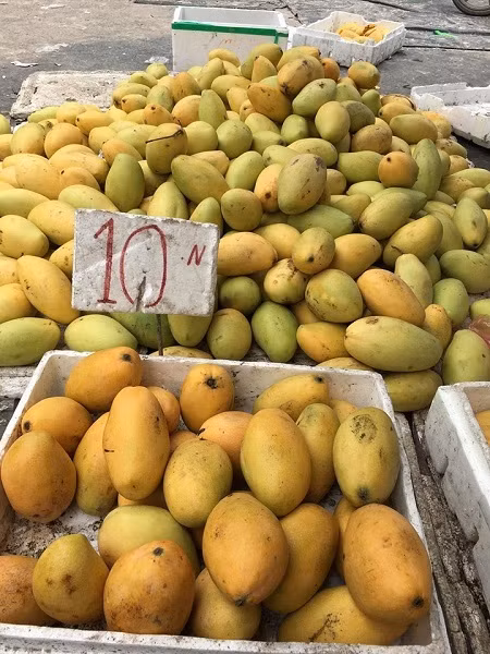 Xoai rot gia, chi con 10.000 dong 3kg cung khong ai mua-Hinh-4