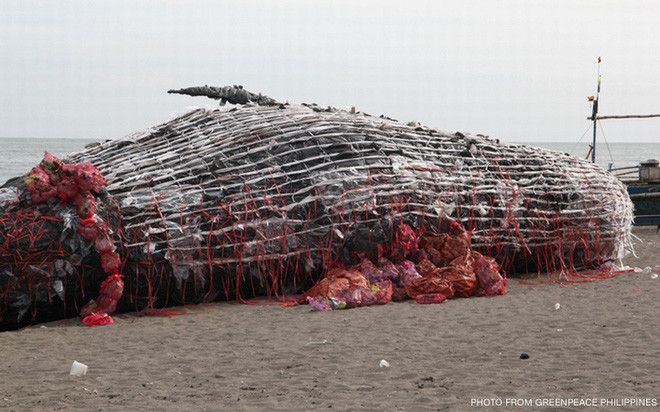 Ca voi khong lo chet dat bo bien-Hinh-4