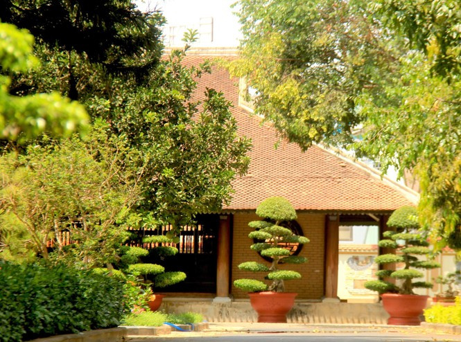 Xem tu dinh quan chuc lam mat rung so huu 'kiet tac' go do so-Hinh-9