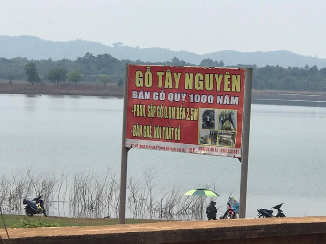 Xem tư dinh quan chức làm mất rừng sở hữu 'kiệt tác' gỗ đồ sộ Xem tu dinh quan chuc lam mat rung so huu 'kiet tac' go do so