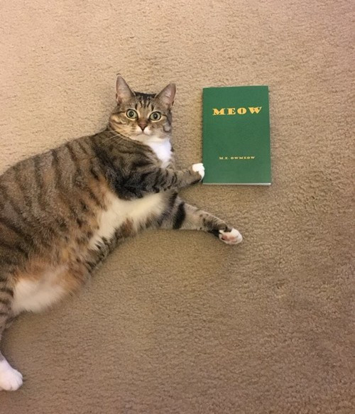 Đặt mua sách qua mạng, khi nhận hàng lại hối hận ngay lập tức - Hình 5 Dat mua sach qua mang, khi nhan hang lai hoi han ngay lap tuc-Hinh-5