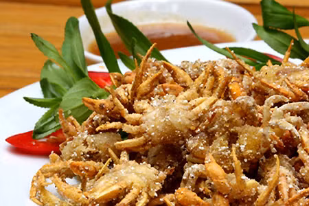 Nhung nguoi khong nen an cua dong vi rat de ngo doc