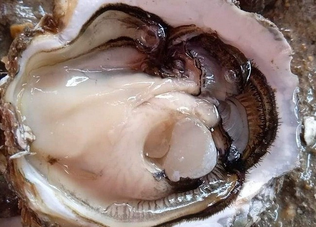 Hau sua gia re chua tung co, dan mang thi nhau giai cuu-Hinh-3