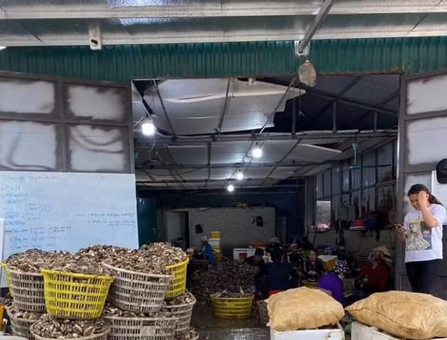 Hau sua gia re chua tung co, dan mang thi nhau giai cuu-Hinh-2