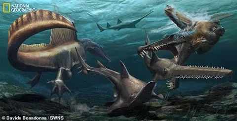 Phat hien quai vat an thit khong lo giua sa mac Sahara-Hinh-2