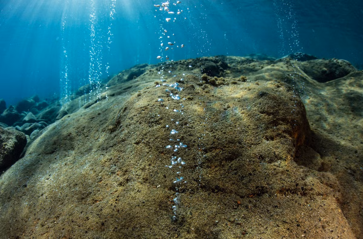 Phat hien bat ngo ve dieu tao nen su song tren Trai Dat