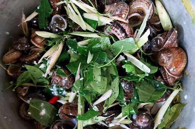 Loai rau moc hoang gia 100 nghin/kg duoc ba noi tro san lung-Hinh-3