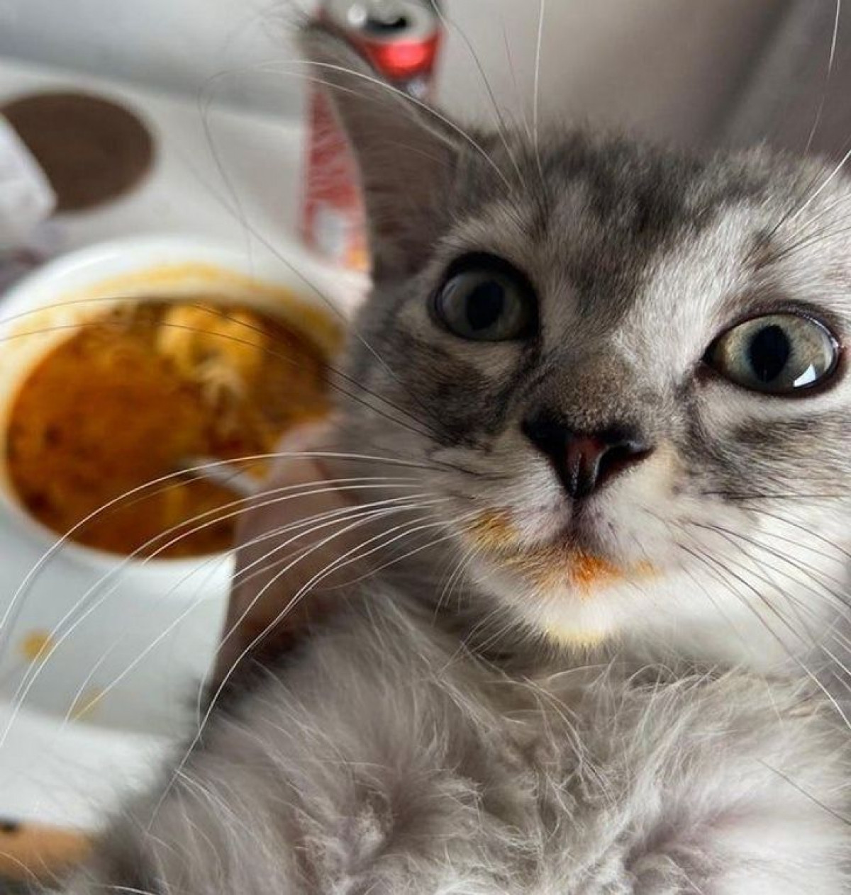 Mép dính súp thì không chối được rồi./.