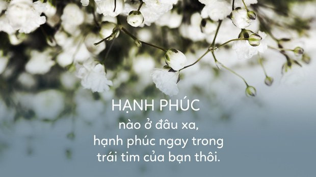 8 loai hanh phuc quy gia nhat ai cung co