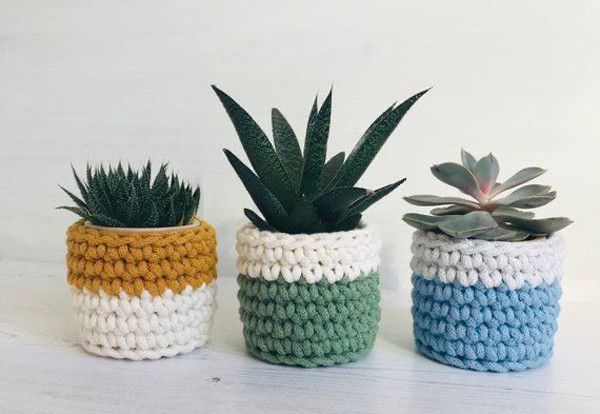 Thu tuong nhu vut di khong ngo la mo vang-Hinh-2