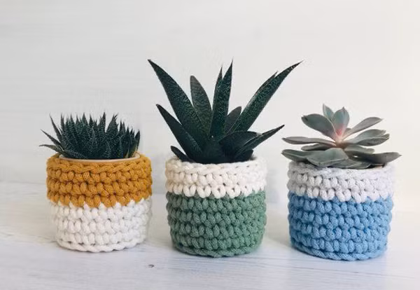 Thu tuong nhu vut di khong ngo la mo vang-Hinh-2