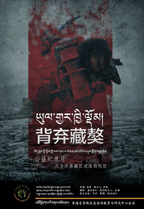 Cho ngao Tay Tang tro thanh moi nguy hiem o Trung Quoc-Hinh-4