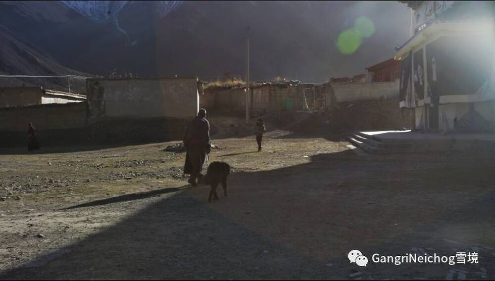 Cho ngao Tay Tang tro thanh moi nguy hiem o Trung Quoc-Hinh-5