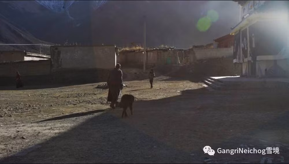 Cho ngao Tay Tang tro thanh moi nguy hiem o Trung Quoc-Hinh-5