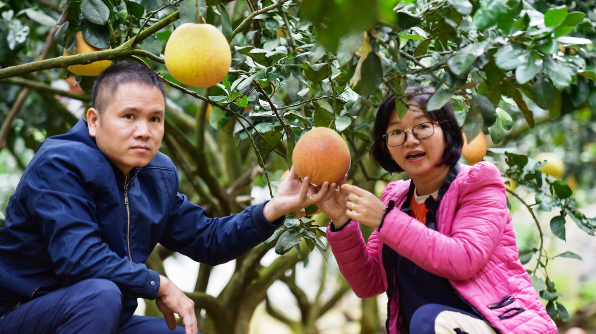 Buoi tien vua nua trieu dong mot qua van dat hang-Hinh-2