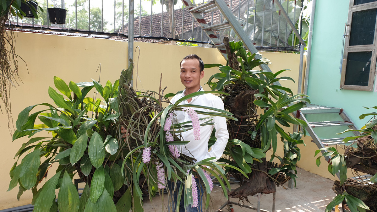 Ngam loai lan cuc hiem, hoa dep hiem thay gia sieu 