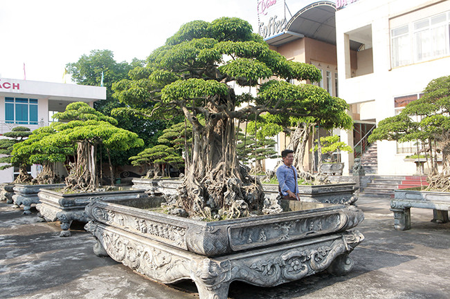 Dai gia Thai Nguyen gay sot voi dan 'bau vat' gia trieu USD-Hinh-4