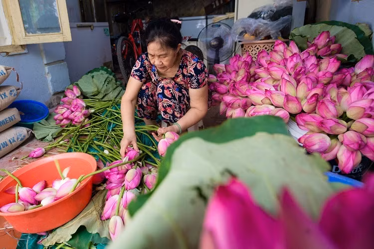 Dai gia Ha Noi tim mua 'de nhat tra' dat nhat Viet Nam