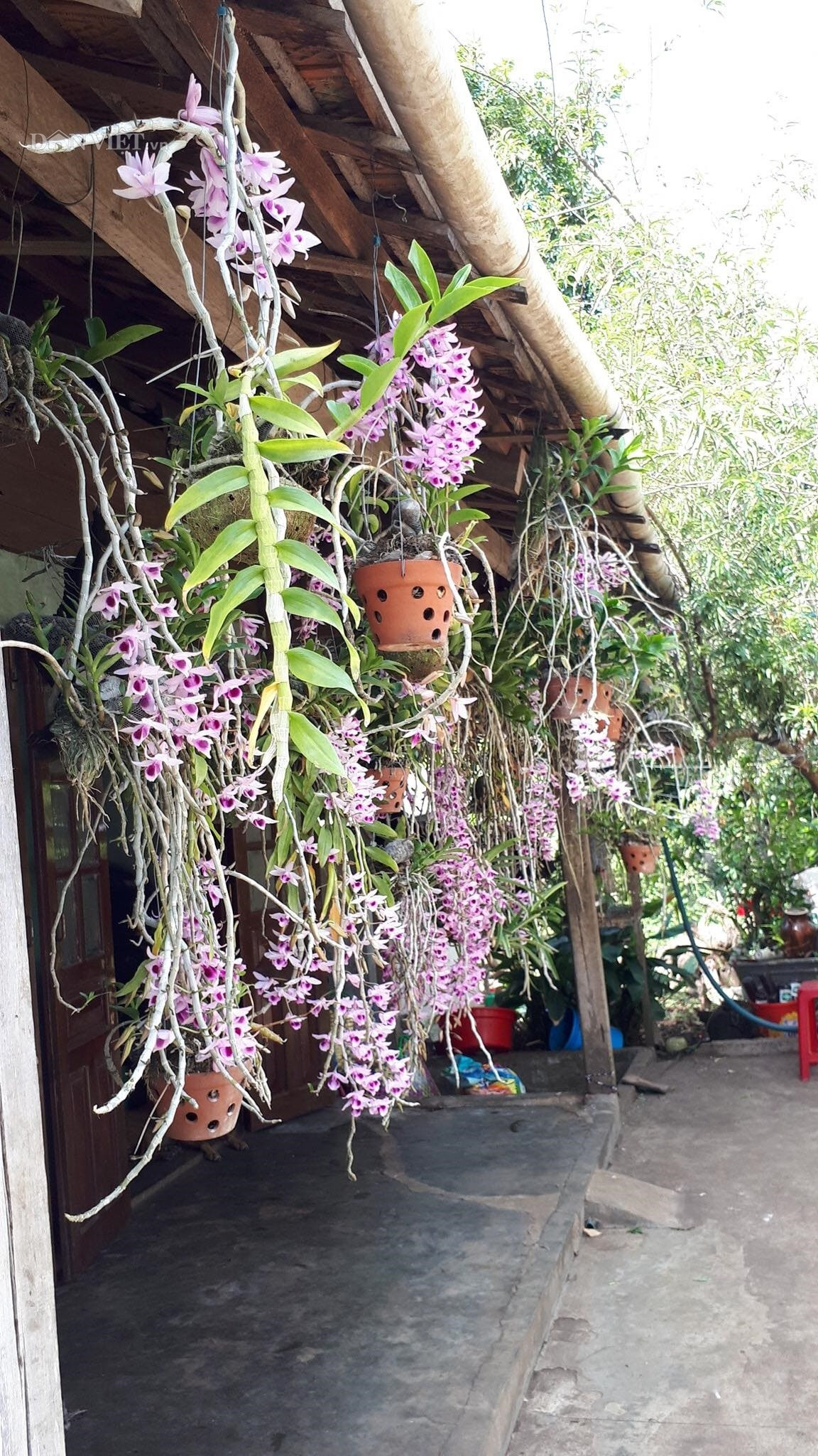 Them nha treo toan hoa lan rung quy hiem cua trai 9X tinh Dak Nong-Hinh-6