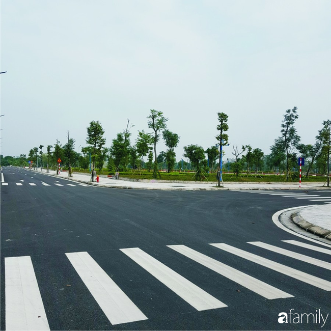 Co 200 trieu mua 50m² dat lien ke o que, 3 nam sau mua nha thanh pho-Hinh-2