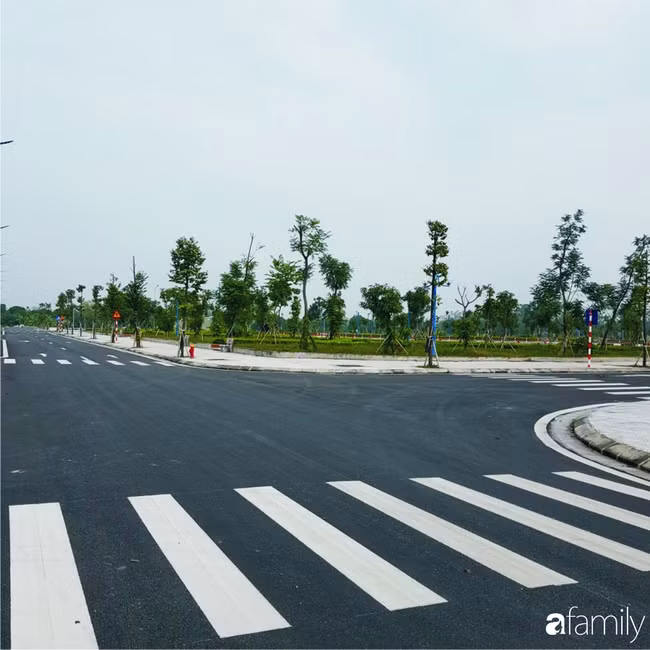 Co 200 trieu mua 50m² dat lien ke o que, 3 nam sau mua nha thanh pho-Hinh-2