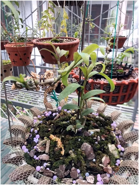 Bo 4,5 trieu choi thu, gay dung gia tai 10 ty dong-Hinh-4