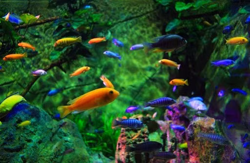 Trong nhà thấy 4 dấu hiệu này hung tinh đeo bám Trong nha thay 4 dau hieu nay hung tinh deo bam