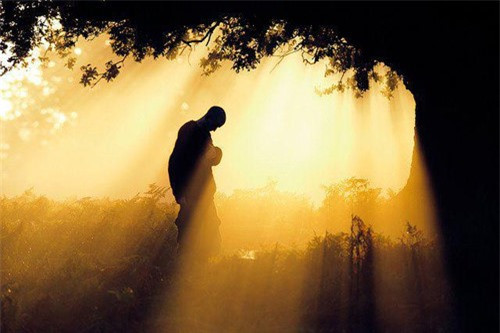 Phật dạy: Giữa cha mẹ và con cái luôn có mối duyên nợ ngàn năm ảnh 3 Phật dạy: Giữa cha mẹ và con cái luôn có mối duyên nợ ngàn năm ảnh 3