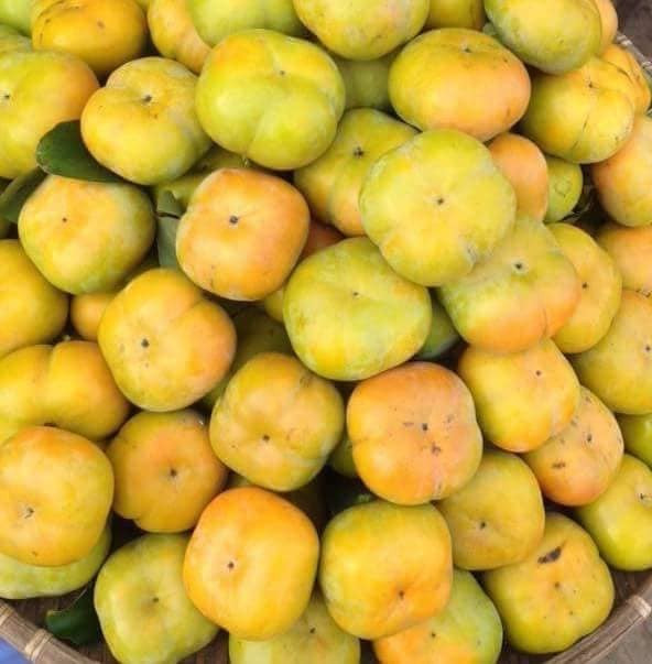 Bat ngo loai hong chang can ngam van khong chat, bao ngot gion-Hinh-3