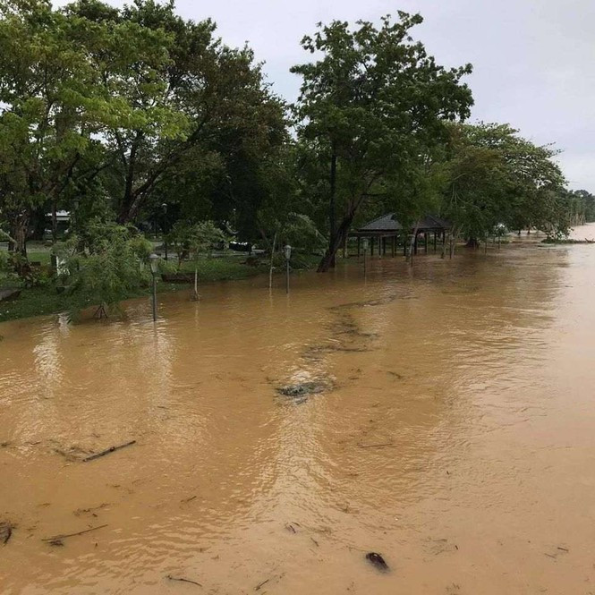 Thành phố Huế ngập sâu trong biển nước - Hình 3 Thanh pho Hue ngap sau trong bien nuoc-Hinh-3