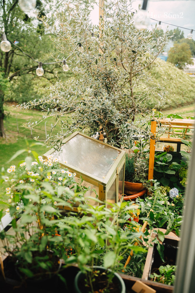 Chi voi 8m2 nhung van co ca the gioi xanh muot mat-Hinh-14