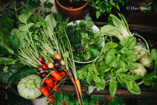 Chi voi 8m2 nhung van co ca the gioi xanh muot mat-Hinh-12