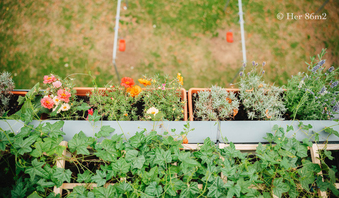 Chi voi 8m2 nhung van co ca the gioi xanh muot mat-Hinh-8