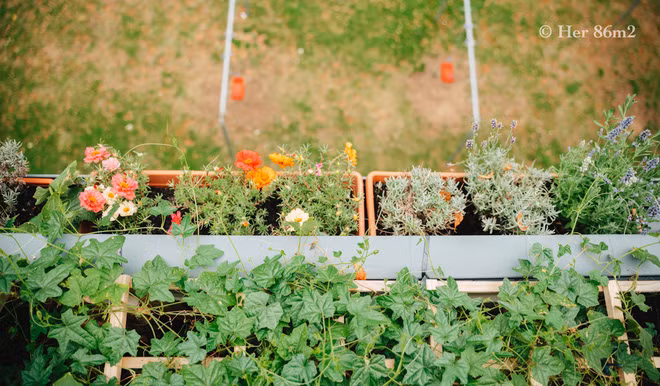 Chi voi 8m2 nhung van co ca the gioi xanh muot mat-Hinh-8