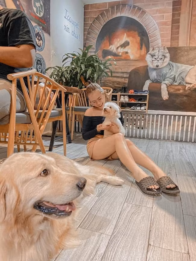 Von 20 trieu dong, chang trai 9X thu nhap 2 ty dong moi nam-Hinh-3