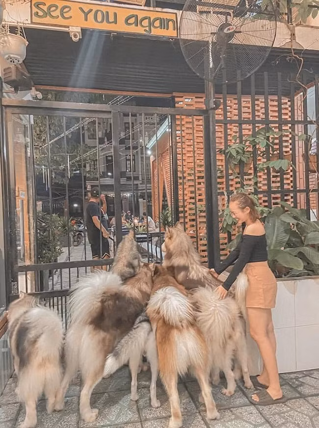 Von 20 trieu dong, chang trai 9X thu nhap 2 ty dong moi nam-Hinh-4