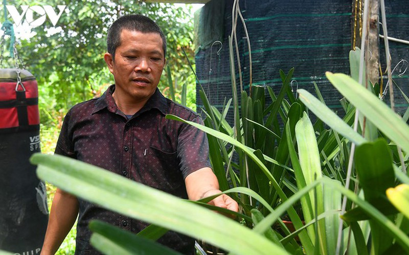 "Phất" lên nhanh chóng nhờ trồng loài hoa vương giả ảnh 7