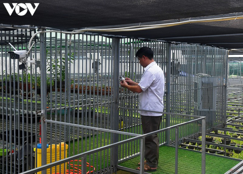 "Phất" lên nhanh chóng nhờ trồng loài hoa vương giả ảnh 8