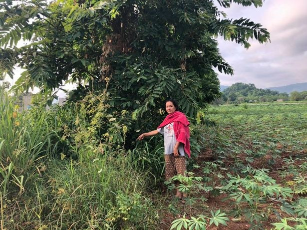 Phat hien su that kinh hai phia sau bui ram