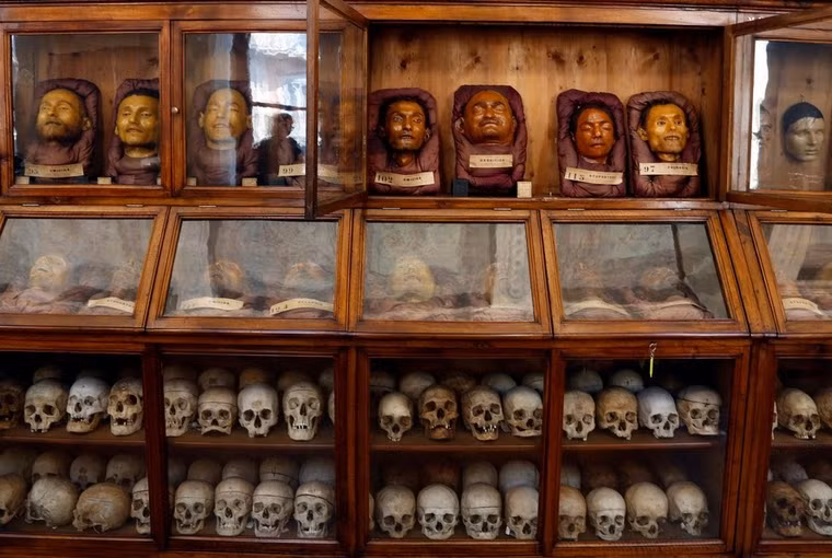 Toàn cảnh khu trưng bày sọ và đầu sáp.
